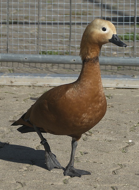 img2.jpg